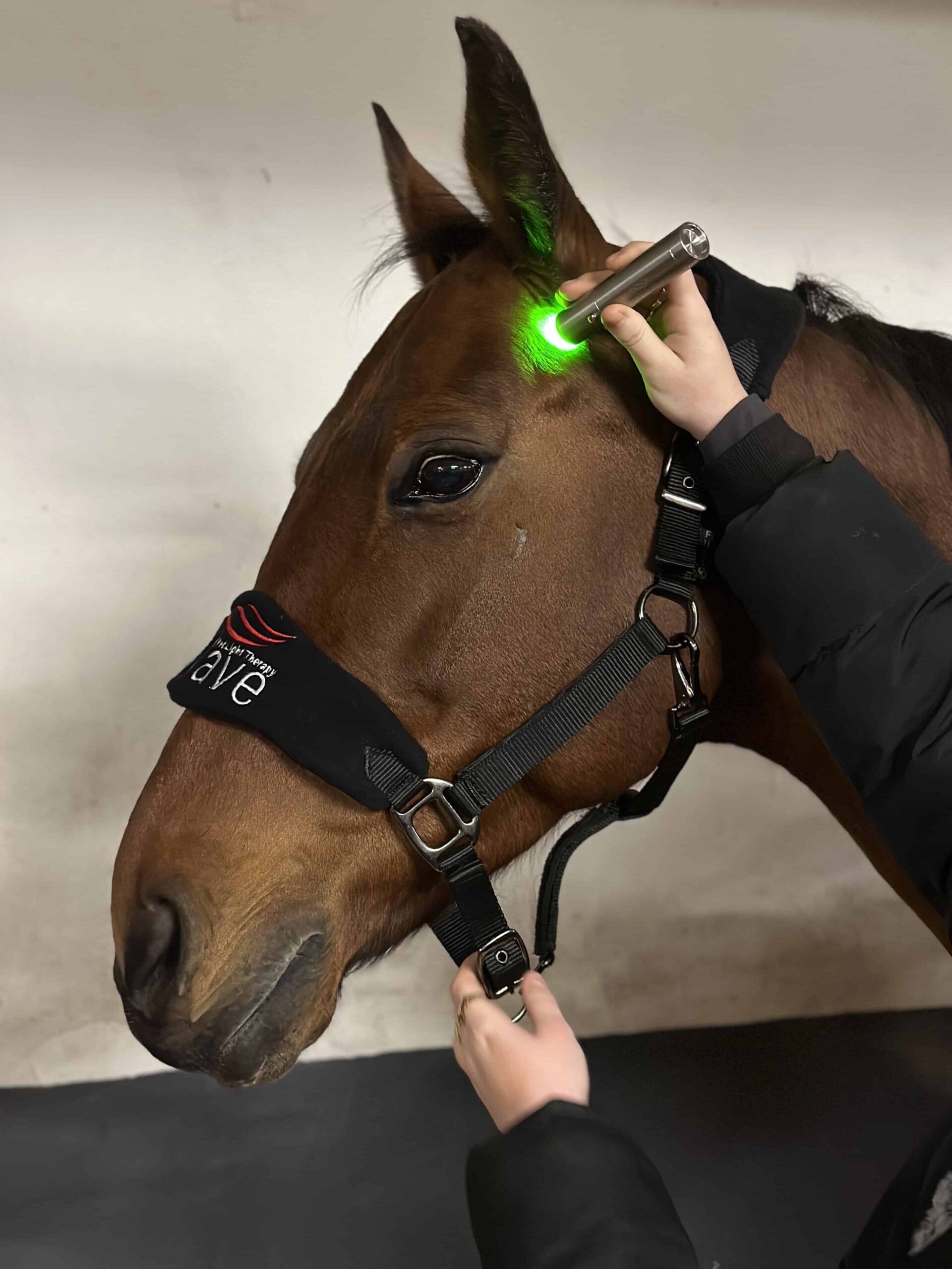 Wave RLT Green 1.0 Lichttherapiestift – Abbildung 15