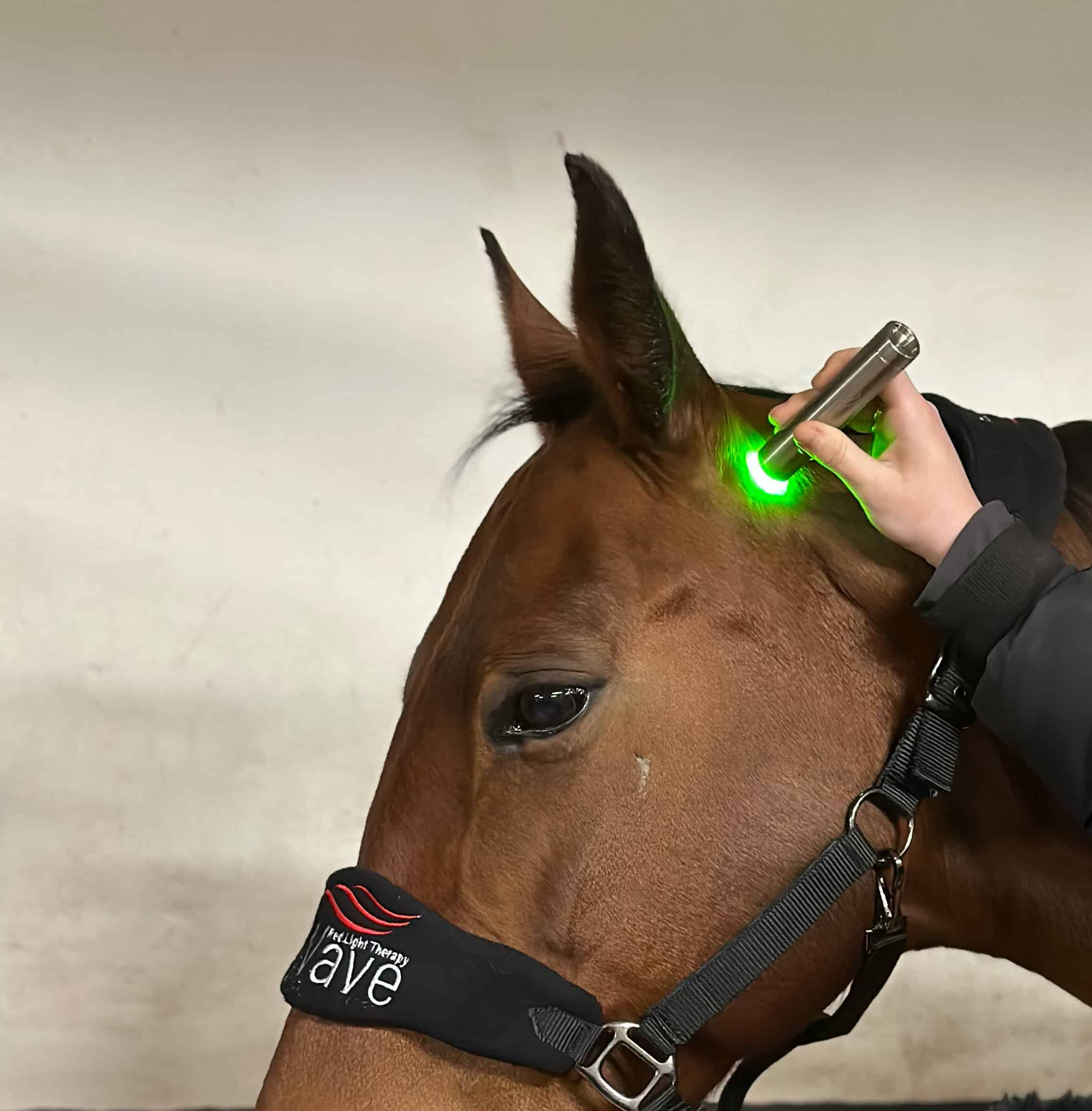 Wave RLT Green 1.0 Lichttherapiestift – Bild 6