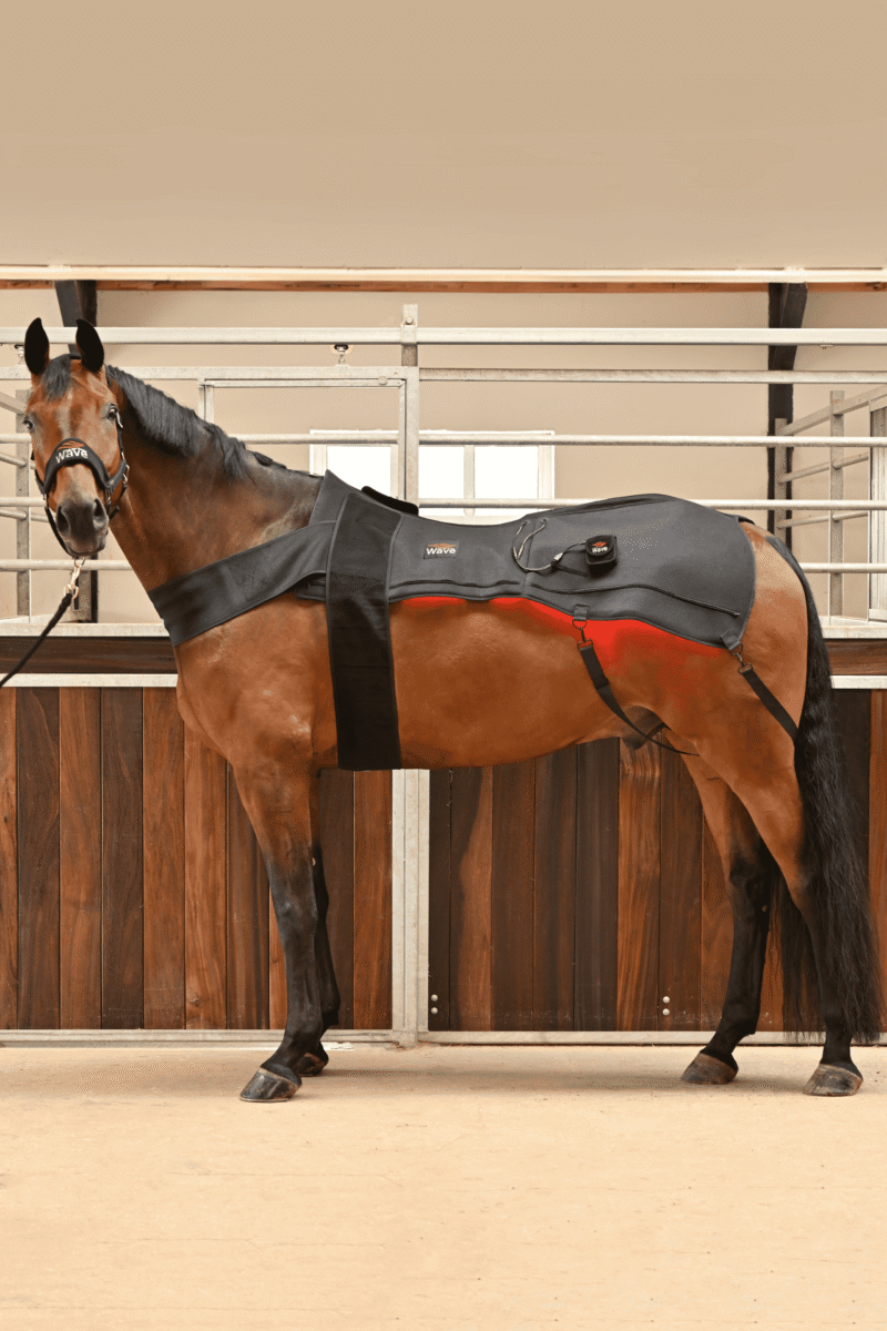 WAVE RLT G2 Lichttherapie - Decke - Bild 3