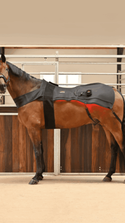 WAVE RLT G4 Deep Spectrum PRO Light Therapy - The Deck