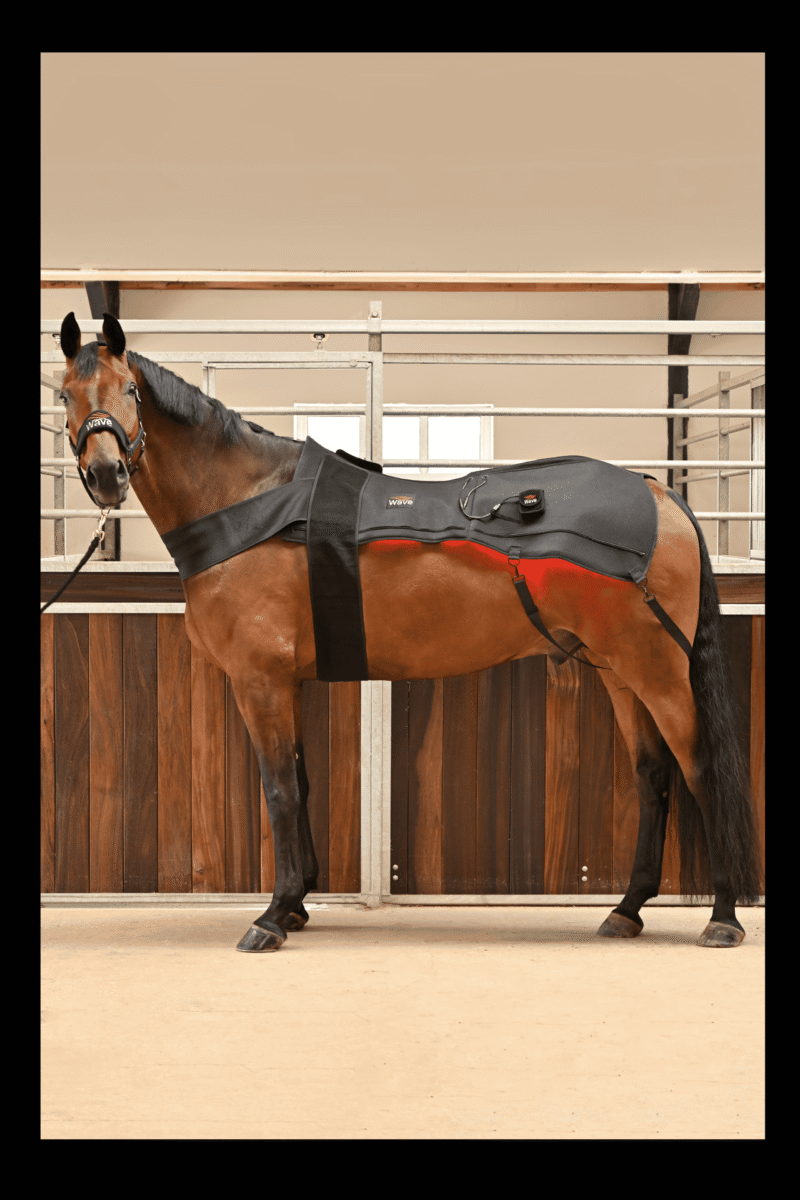 WAVE RLT G2 Lichttherapie - Decke - Bild 7