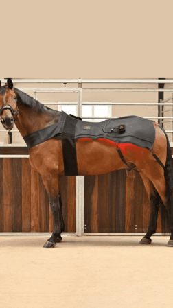 WAVE RLT G2 lysterapi - Dækken