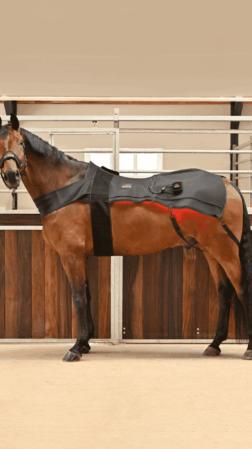 WAVE RLT G3 Deepspectrum - Dækken pakke