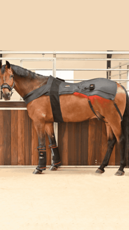 WAVE RLT G2 Lysterapi - Dækken + 2 WAVE RLT G2 Lysterapi - Small inkl. ekstra tilbehør