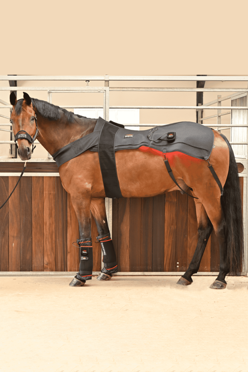 WAVE RLT G2 Lichttherapie-Decke + 2 WAVE RLT G2 Lichttherapie-Decken (klein) inkl. Zubehör – Abbildung 9