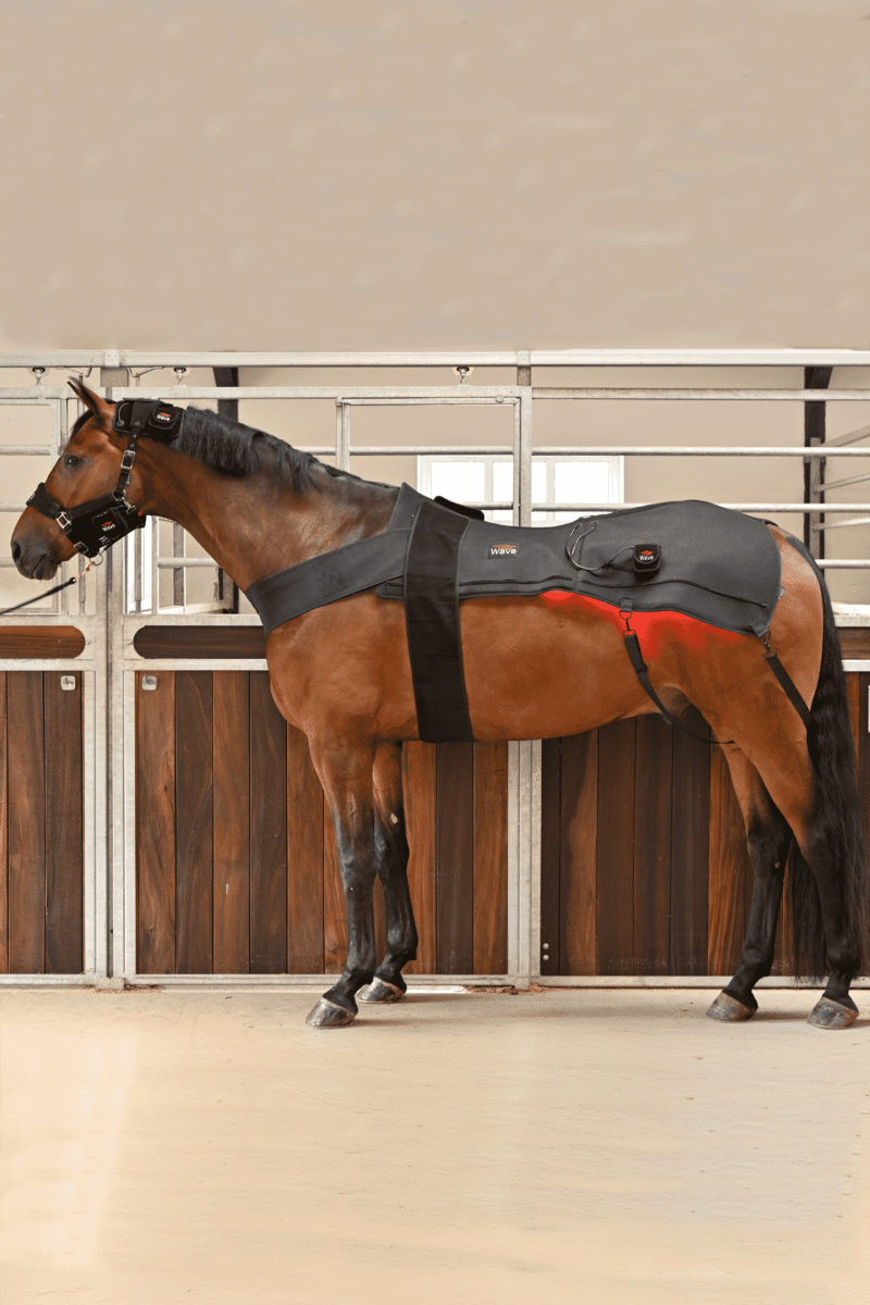 WAVE RLT G2 Lichttherapie-Decke + 2 WAVE RLT G2 Lichttherapie-Decken (klein) inkl. Zubehör – Abbildung 2