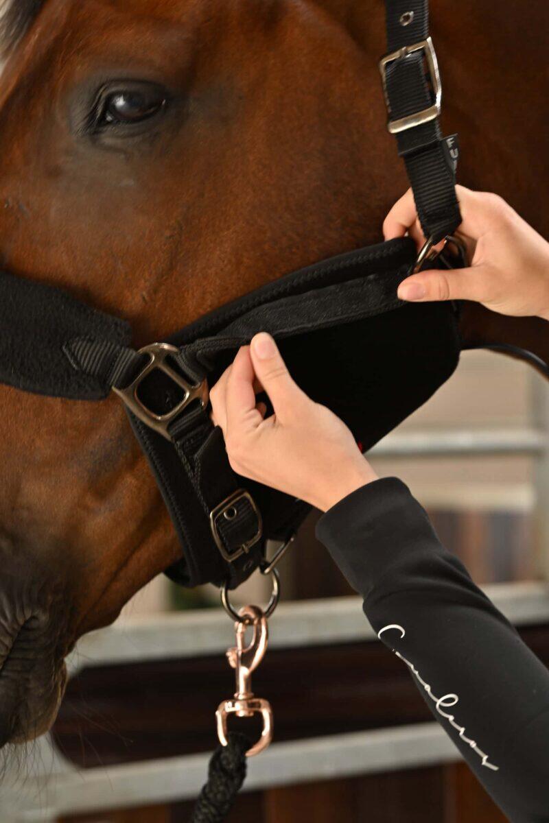 WAVE RLT G3 Deep Spectrum - Small Big Pack Gold - Billede 5