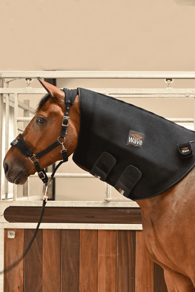 WAVE RLT G2 light therapy - Large - Image 12