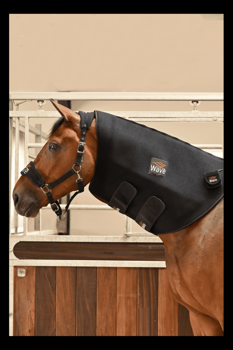 WAVE RLT G2 light therapy - Large - Image 17