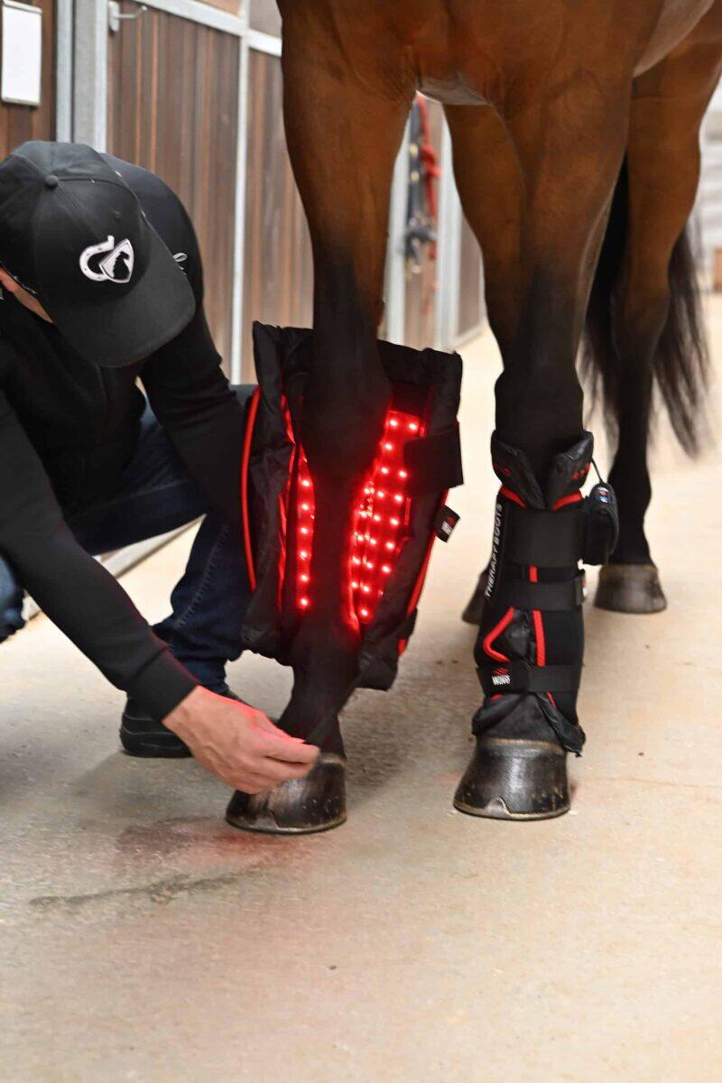 WAVE RLT G3 Deep Spectrum - Small Big Pack Gold - Billede 4