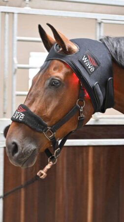 Wave RLT G2 Lysterapi - Poll Cap