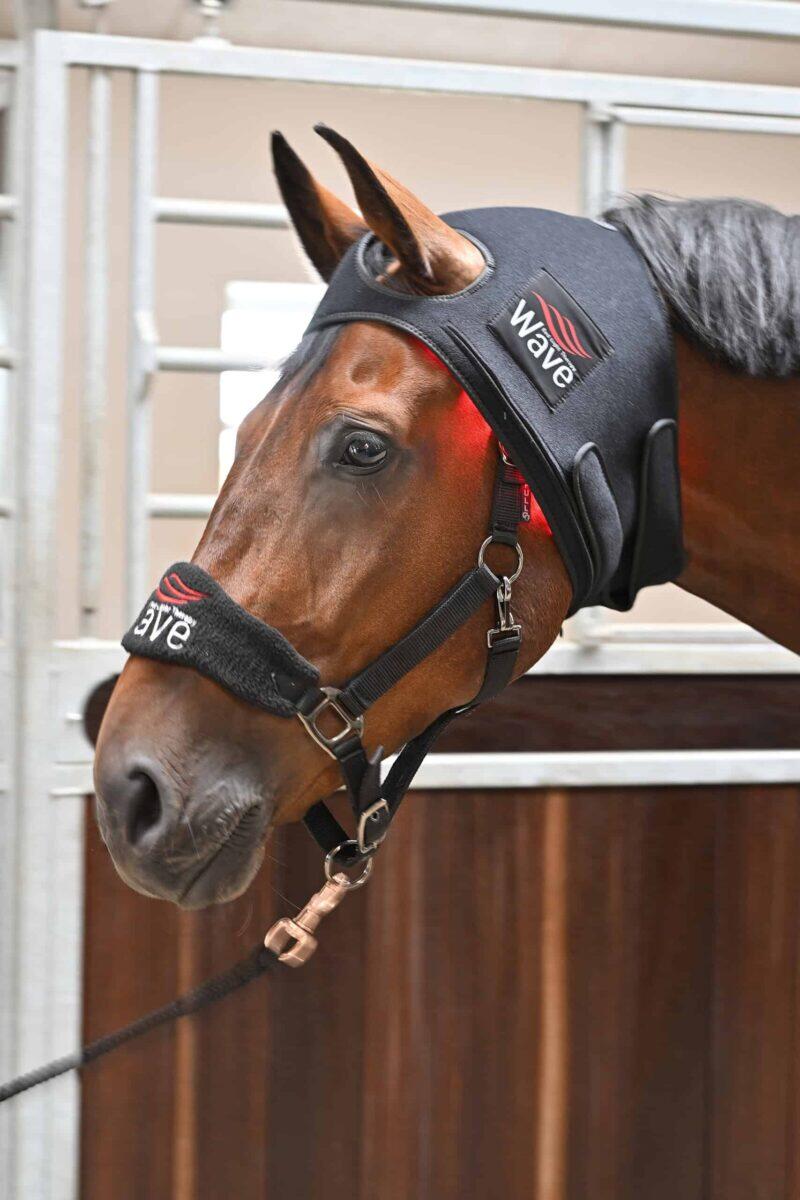 Wave RLT G2 Lichttherapie - Poll Cap