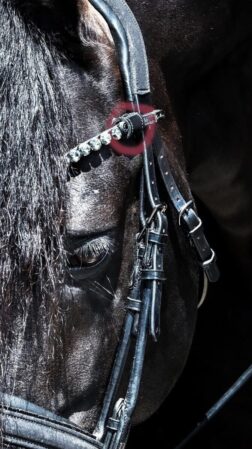 Leather rings for headbands