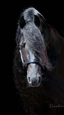 Grime Performance Reflective x-Fir