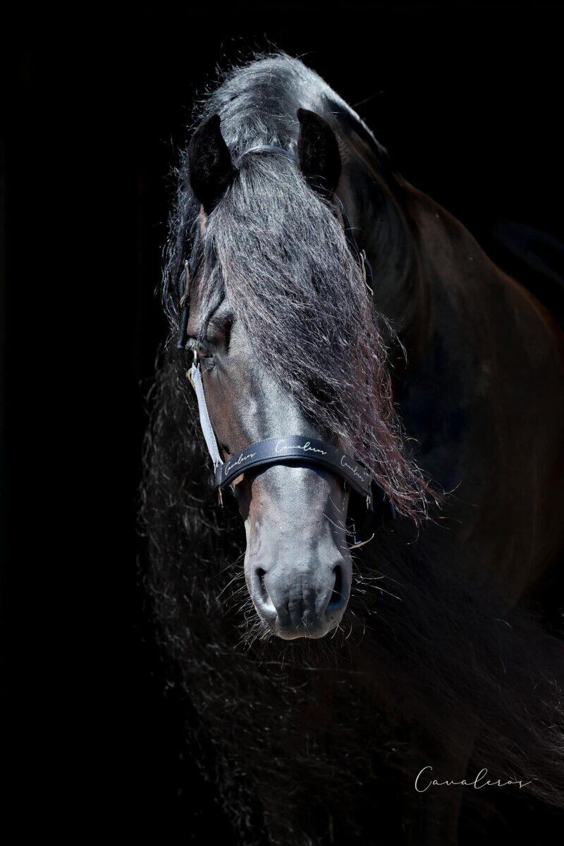 Grime Performance Reflective x-Fir