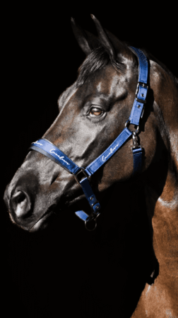 Grime Performance Ergonomic x-Fir