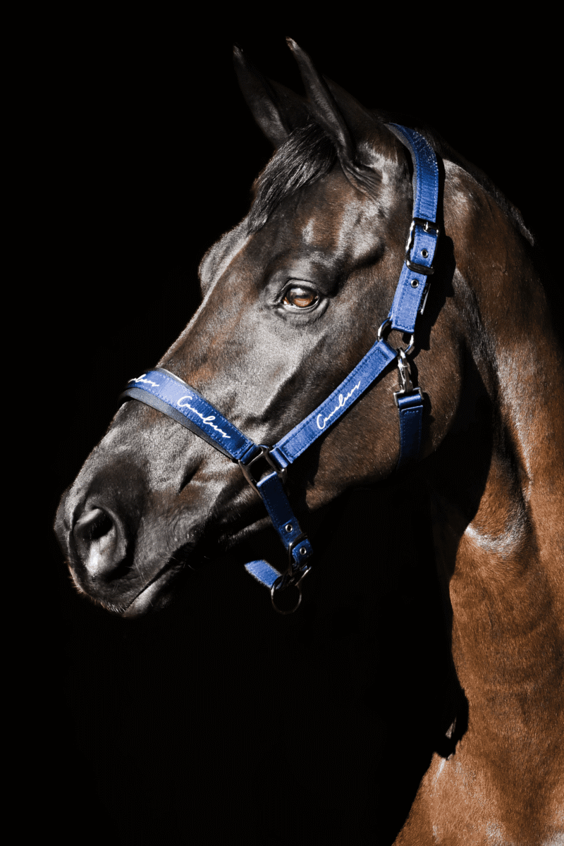 Grime Performance Ergonomic x-Fir