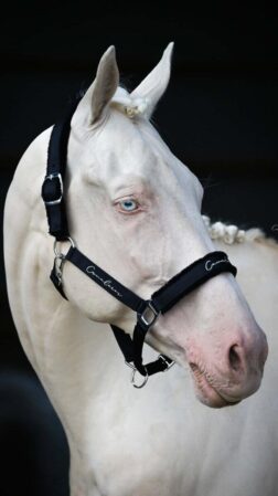 Grime Performance Soft Silver