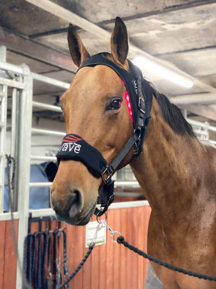 Wave RLT G2 Lichttherapie - Poll Cap - Bild 3