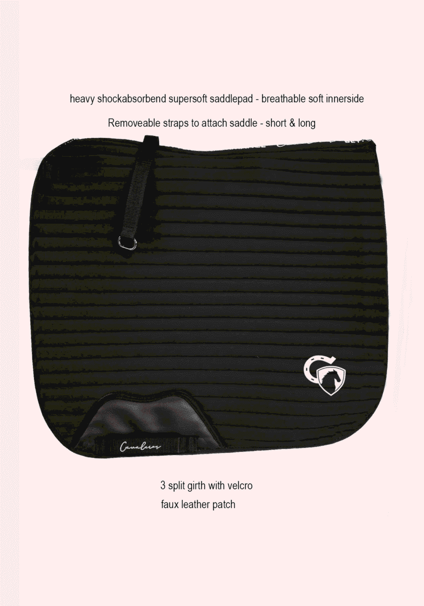 Base Prestige Signature Dressage - Picture 8