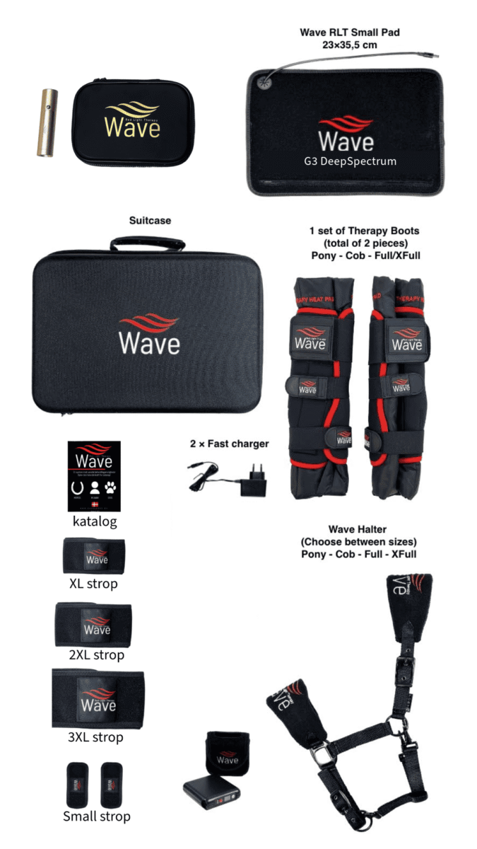 WAVE RLT G3 Deep Spectrum - Small Big Pack Gold