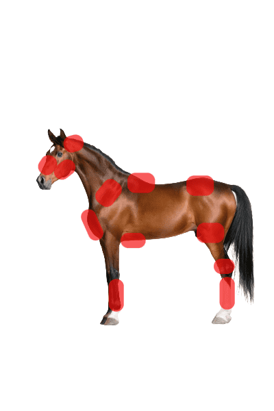 WAVE RLT G3 Deep Spectrum - Small Big Pack Gold - Billede 2