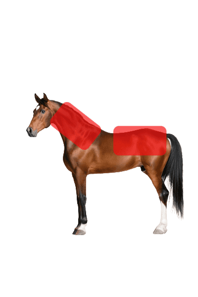 WAVE RLT G2 - Small - Image 32