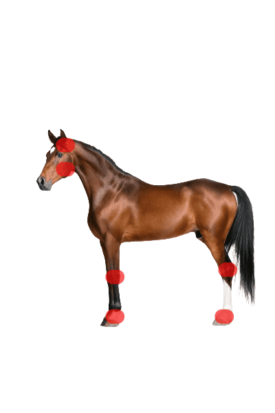 Wave RLT G4 DSP Light Therapy - 2 pcs. BellBoot - Image 2