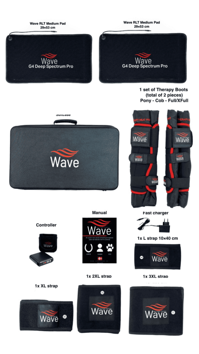 Wave RLT G4 DSP Light Therapy - 2 pcs. MEDIUM incl. gaiters & halter