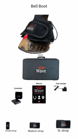Wave RLT G4 DSP Lysterapi - BellBoot