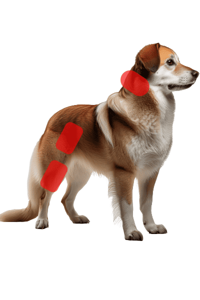 Wave RLT G4 DSP Light Therapy - 2 pcs. BellBoot - Image 4