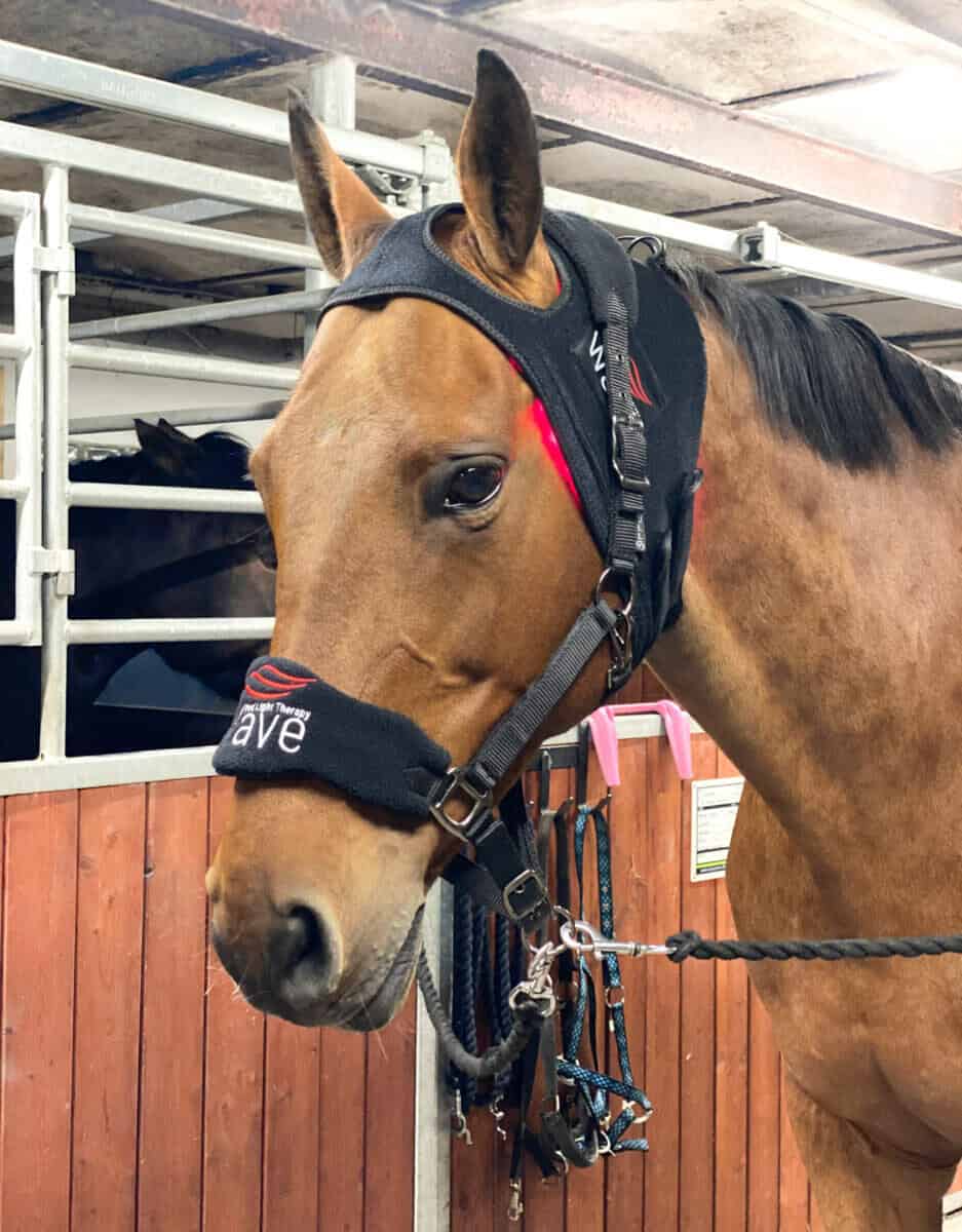 Wave RLT G2 Lichttherapie - Poll Cap - Bild 4