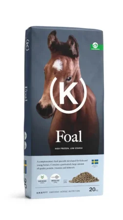 KRAFFT FOAL