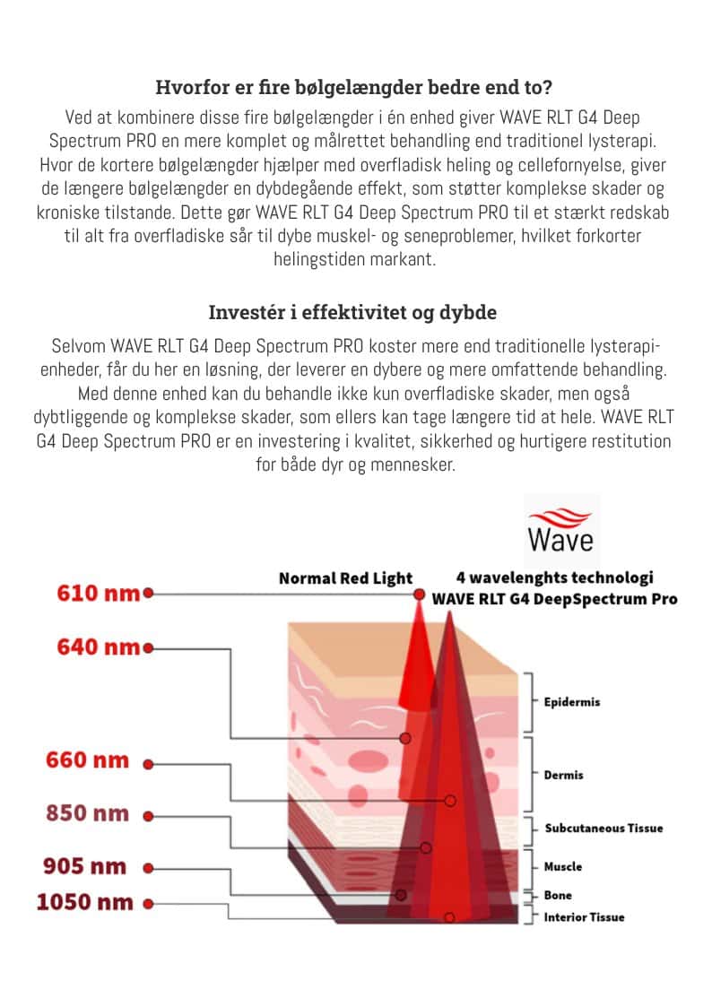 Wave RLT G4 DSP Light Therapy - 2 pcs. MEDIUM incl. gaiters & halter - Picture 4