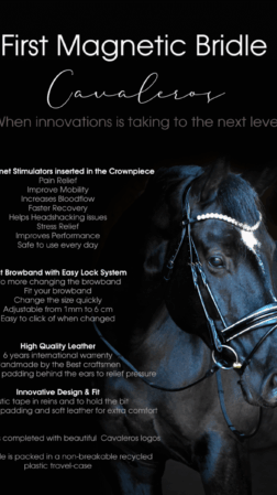 Magnetic Therapy Bridle™ Alicante NO 4