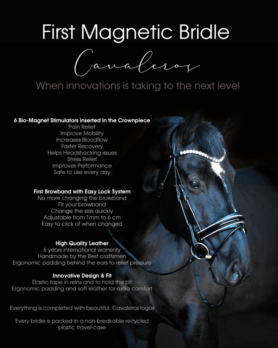 Magnetic Therapy Bridle™ Alicante NO 1 - Image 2
