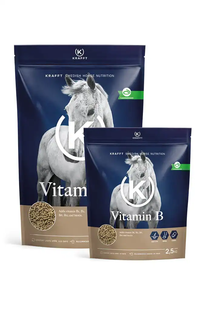 KRAFFT VITAMIN B PELLETS 2.5 kg