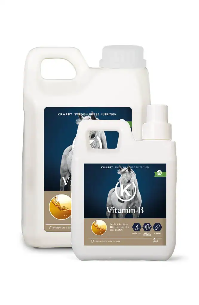 STRONG VITAMIN B 1 Liter