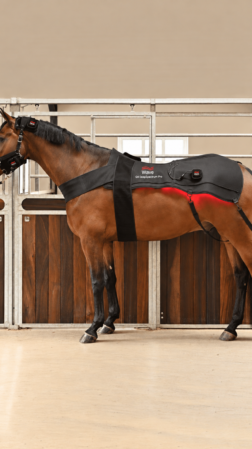 WAVE RLT G4 Deep Spectrum PRO Light Therapy - Rug